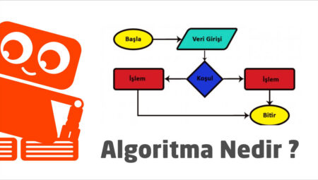 Algoritma Nedir? Algoritma Nasıl Oluşturulur? 2025