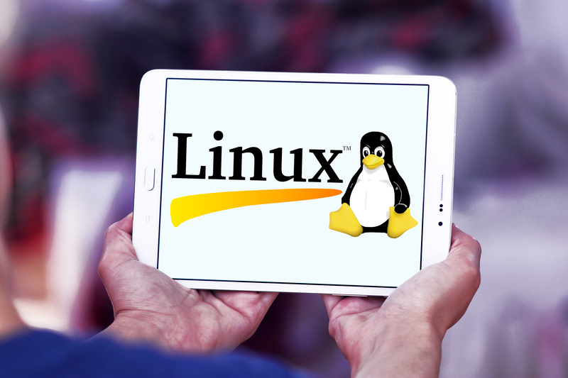 Linux Mint Nedir? Ne İşe Yarar? 2025