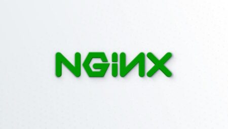 NGINX Nedir? Hangi Amaçla Kullanılır?