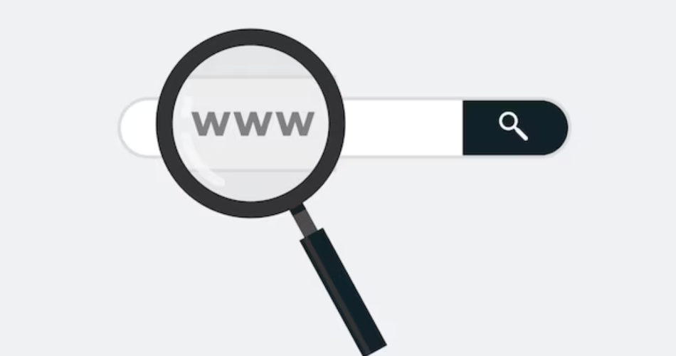 whois nedir