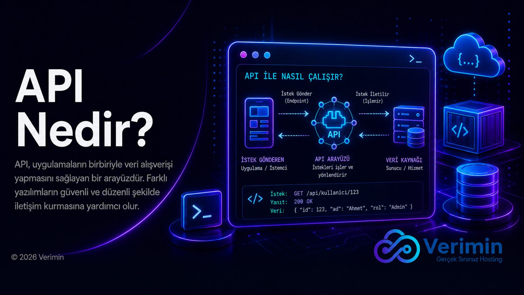 API nedir? Uygulama Programlama Arayüzü (API) kavramını anlatan kapak görseli